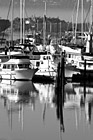 Black & White Close Up of Sailboats & Reflection preview
