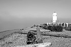 Black & White Brown's Point Lighthouse and Shore preview