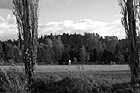 Black & White Farmland in Countryside of Orting, Washington preview