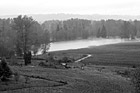 Black & White Puyallup River Flooding Farmland preview