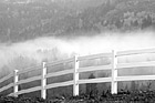 Black & White White Fence &  Fog preview