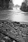 Black & White Puyallup River Flooding Over Road preview