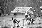 Black & White Shed Flooded by River preview
