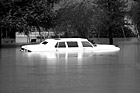 Black & White Close Up of White Car in Flood preview