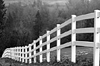 Black & White White Fence & Trees preview