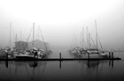 Black & White Sailboats in Fog preview