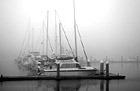 Black & White Row of Sailboats in Fog preview