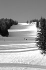 Black & White Ski Slope at Big Mountain preview