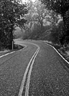 Black & White Yellow Stripe on Black & White Road preview