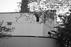 Black & White YMCA Building & Trees preview