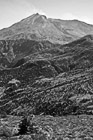 Black & White New Growth & Mt. Saint Helens preview