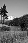Black & White Mt. Rainier in Distance preview