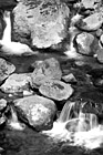 Black & White Little Waterfalls of Nickel Creek preview