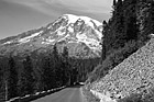 Black & White Road Leading to Mt. Rainier preview