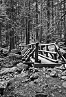Black & White Hike & Wooden Bridge preview