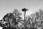 Black & White Space Needle at Dusk preview