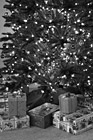 Black & White Presents Under Christmas Tree preview