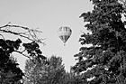 Black & White Hot Air Balloon Art preview