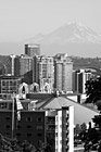 Black & White Seattle & Mt. Rainier preview