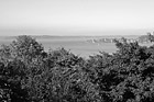 Black & White Fall Trees Overlooking Commencement Bay preview