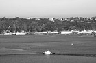 Black & White Commencement Bay in Fall preview