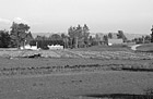 Black & White Pumpkin Patch in a Field preview