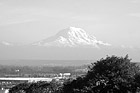 Black & White Mt. Rainier View at Tacoma preview