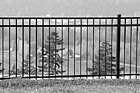 Black & White Black Rod Iron Fence preview