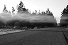 Black & White Fog Over Roadway preview