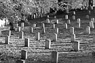 Black & White Autumn Cemetary Scene preview