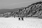 Black & White Horseback Riding on the Beach preview