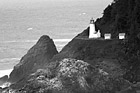 Black & White Heceta Head Lighthouse Close Up preview
