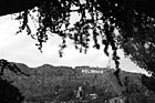 Black & White Hollywood Sign in Distance preview