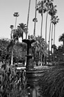 Black & White Fountain at Will Rogers Memorial Park preview