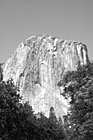 Black & White El Capitan preview