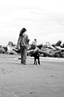Black & White Walking Dog on Beach preview