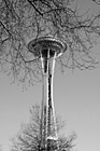 Black & White Tree Branches in Front of Space Needle preview