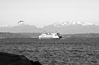 Black & White Ferry Boat & Olympics preview
