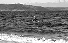 Black & White Back of a Kayaker preview