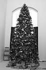 Black & White Decorated Christmas Tree preview