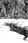 Black & White Snow Scene at Longmire, Wa preview