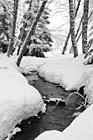 Black & White Water Creek Between Snow preview