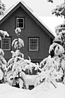 Black & White Snow at Longmire preview