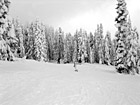 Black & White Snowboarder & Winter Snow preview