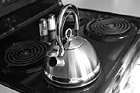 Black & White Silver Tea Kettle preview