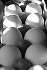 Black & White Eggs Close Up preview
