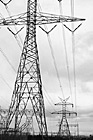 Black & White Power Lines preview