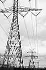 Black & White Power Lines preview