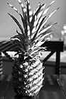 Black & White Pineapple preview