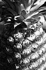 Black & White Pineapple Close Up preview